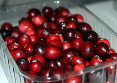 Frische Cranberries