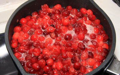 Cranberrysoße