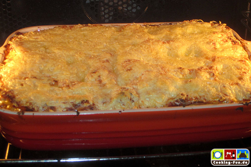 Lasagne Two-In-One