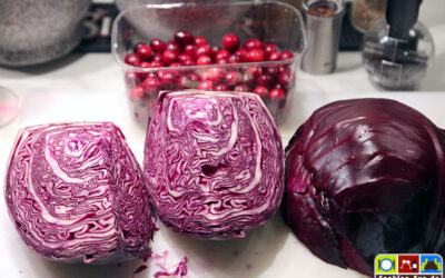 Cranberry-Rotkohl