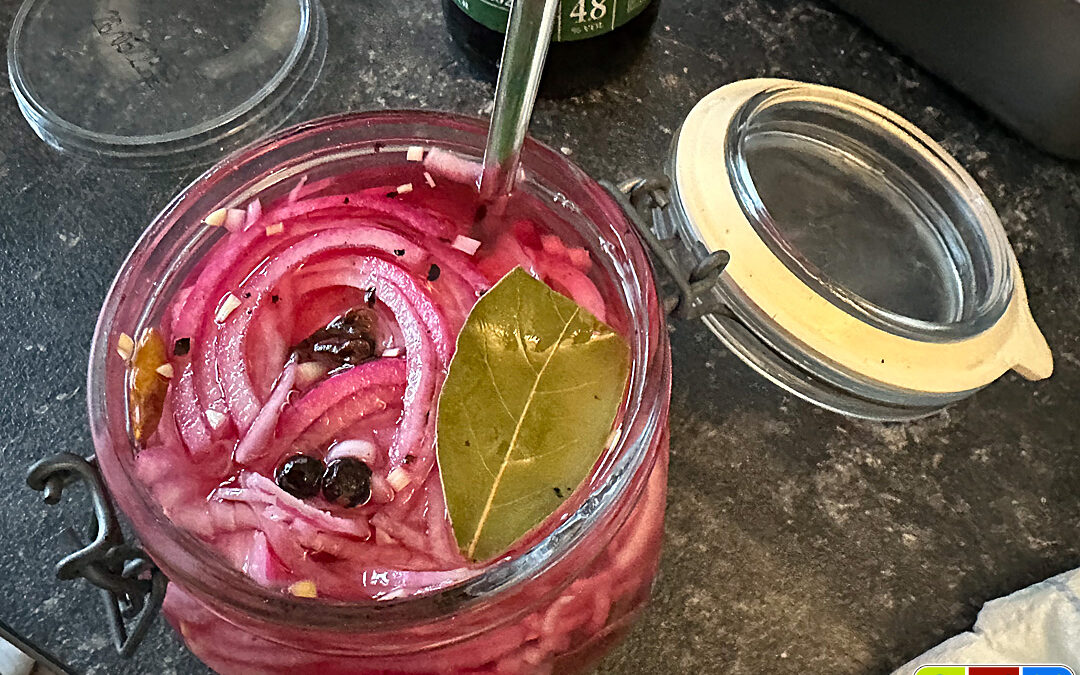 Pickled Red Onions – Eingelegte Rote Zwiebeln